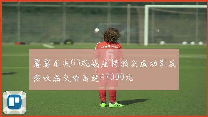 霉霉东决G3观战座椅拍卖成功引发热议成交价高达47000元